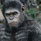 Illustration for article titled 10 emDawn Of The Planet Of The Apes/em Pics Raise Expectations Even Higher